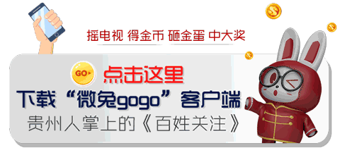 阿拉斯加15元一斤！贵阳这家“黑作坊”屠宰宠物狗？相关部门前来处理，却尴尬了……