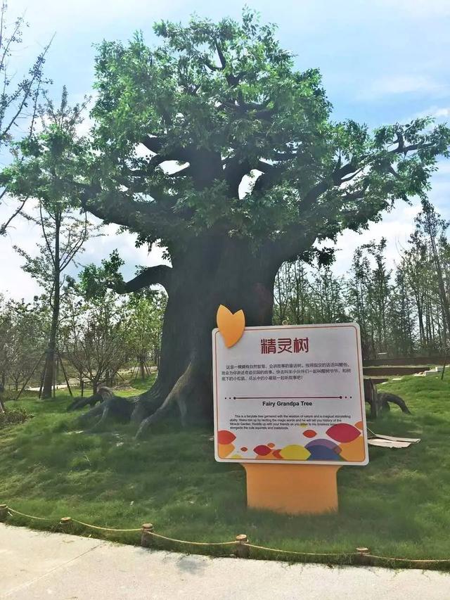 「探索」浦江郊野公园7月底试运营，小布带你先睹为快！