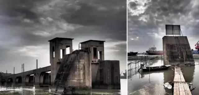 「探索」浦江郊野公园7月底试运营，小布带你先睹为快！