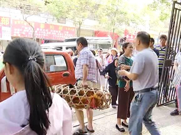 阿拉斯加15元一斤！贵阳这家“黑作坊”屠宰宠物狗？相关部门前来处理，却尴尬了……