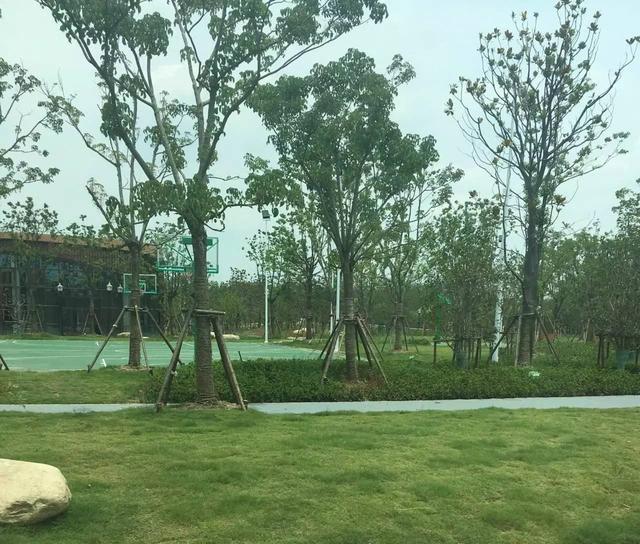 「探索」浦江郊野公园7月底试运营，小布带你先睹为快！