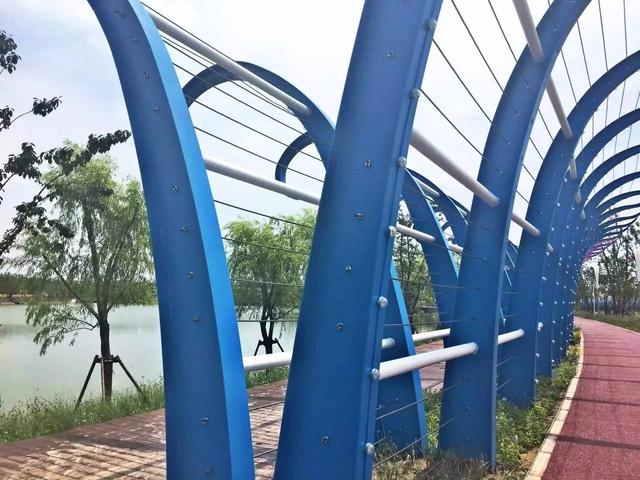 「探索」浦江郊野公园7月底试运营，小布带你先睹为快！