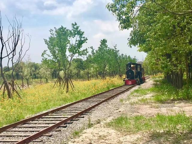 「探索」浦江郊野公园7月底试运营，小布带你先睹为快！