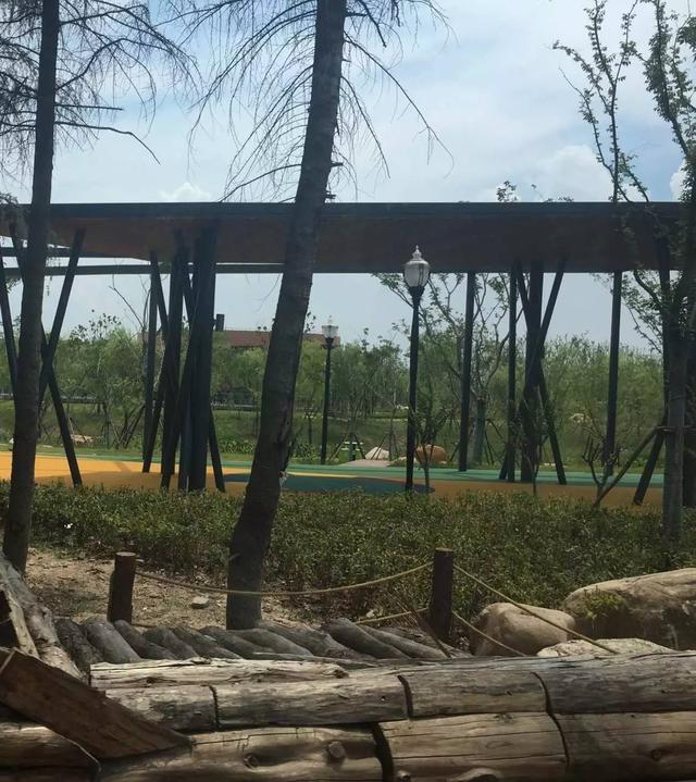 「探索」浦江郊野公园7月底试运营，小布带你先睹为快！