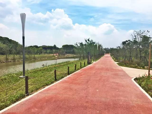 「探索」浦江郊野公园7月底试运营，小布带你先睹为快！