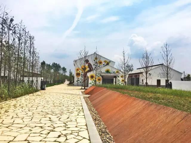 「探索」浦江郊野公园7月底试运营，小布带你先睹为快！