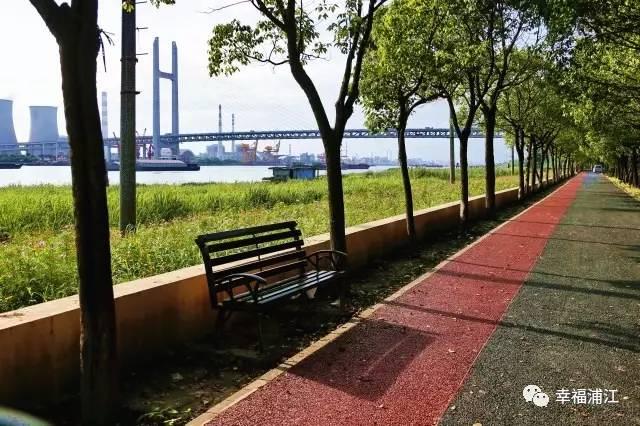 「探索」浦江郊野公园7月底试运营，小布带你先睹为快！