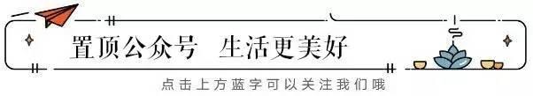 八角金盘的介绍（植物百科｜八角金盘）