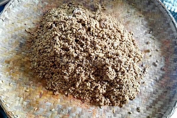 豆豉也能在家自制？这个方法讲得非常详细，自己做比外面买的香多了！