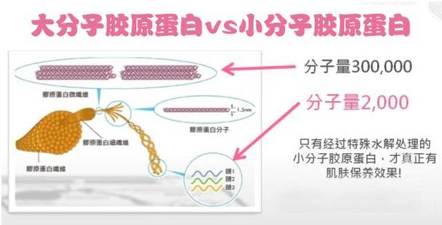 怎样补胶原蛋白最好 2026年怎么补胶原蛋白最有效最好吸收