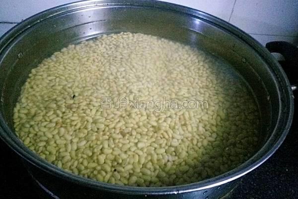 豆豉也能在家自制？这个方法讲得非常详细，自己做比外面买的香多了！