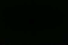 牛骨胶原蛋白肽多少钱一盒 牛骨胶原蛋白肽多少钱一盒啊