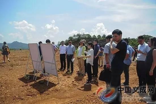 签约了！泰顺要建机场了！其实温州还规划了这些机场