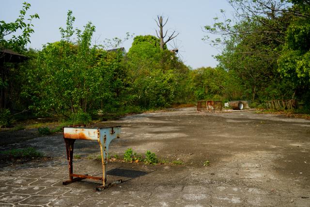 一座荒废16年的梦幻乐园