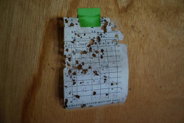 一座荒废16年的梦幻乐园