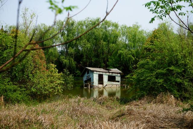 我要下载梦幻乐园（一座荒废16年的梦幻乐园）