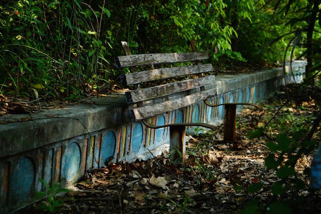 一座荒废16年的梦幻乐园