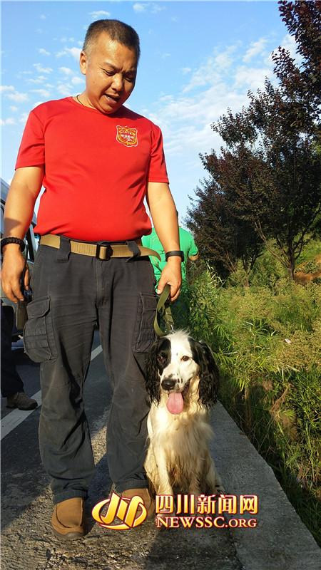 后继有犬！泸州山地救援队搜救犬“猪小建”赶赴九寨沟