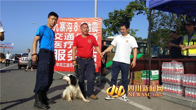 猪来了新版本救援队（后继有犬泸州山地救援队搜救犬猪小建赶赴九寨沟）