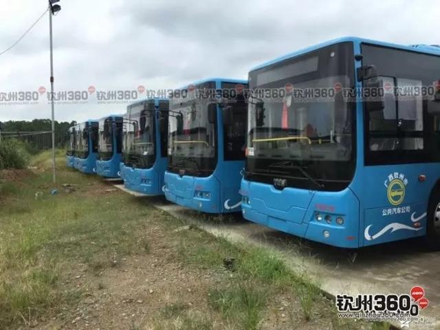 重磅！钦州要有BRT专线了！港城快速公交1号线即将开通！