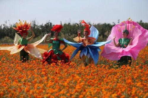 笑得像花一样，原来这句话出处在这里……