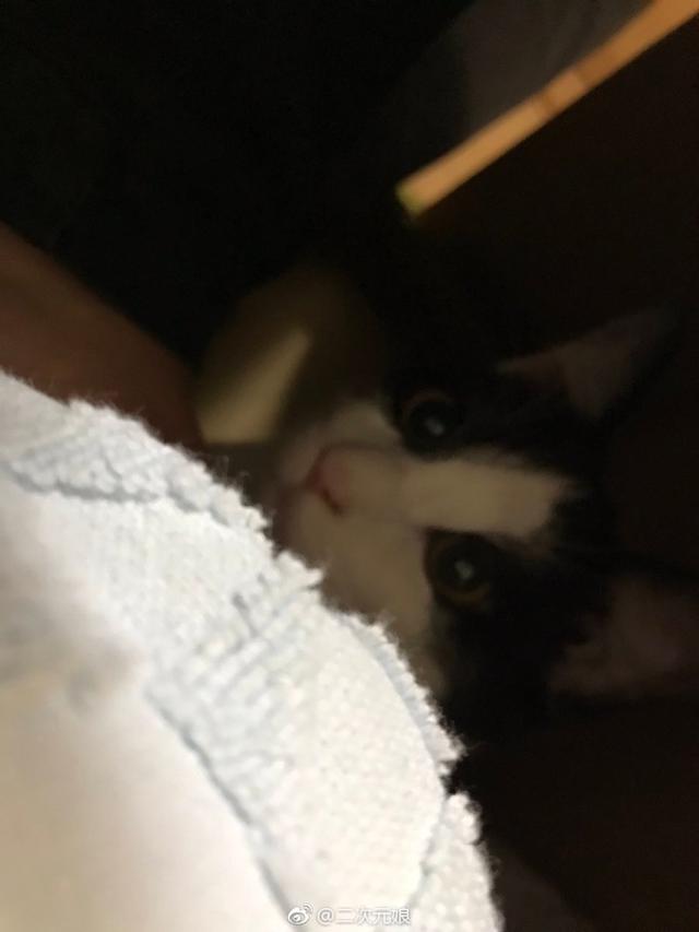 奥特曼也得坐地铁呀