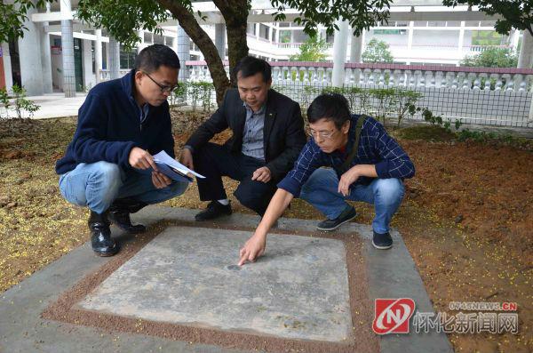 怀化最大网站建设（通道国家重力基准网站点工程顺利建成）