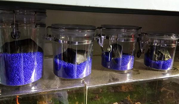 猎人求生手机下载地址（找到陨石真能一夜暴富这可能是圈套的开始）