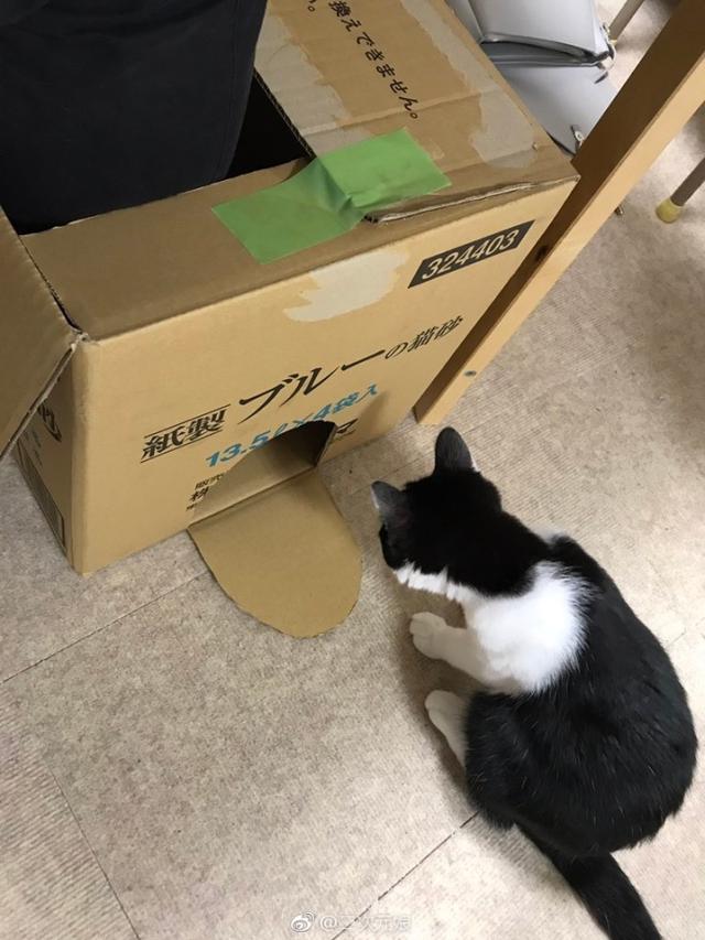 奥特曼也得坐地铁呀