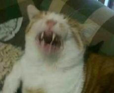 奥特曼也得坐地铁呀