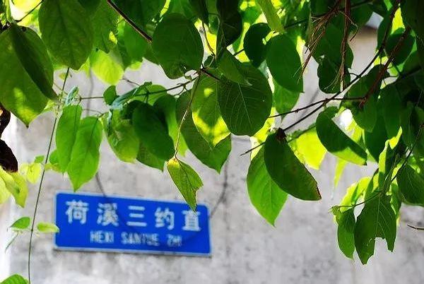 你可曾留意过广州那些有意思的路名，它背后可能藏了一个很长的故事或者是个段子……
