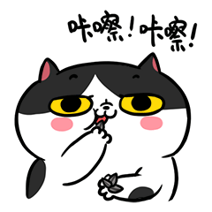 榛子有什么打开方法（好吃不过坚果君）