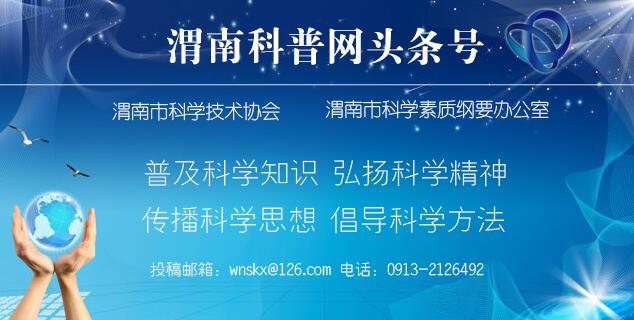渭南市网站建设（渭南市财政局召开网站建设工作推进会）