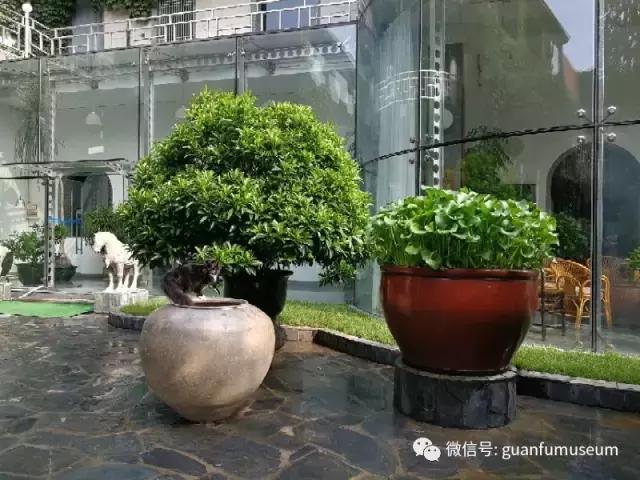 缸组词语（马未都瓮与缸）