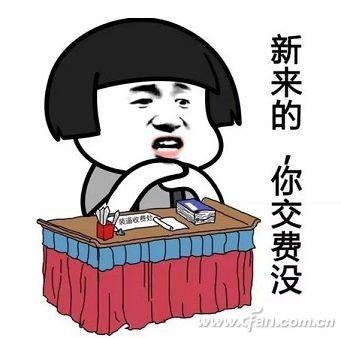 电脑老是卡？优化系统4招见效