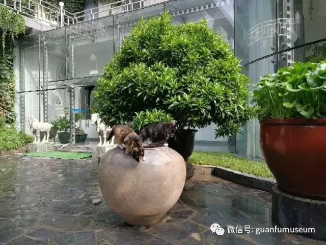 马未都：瓮与缸