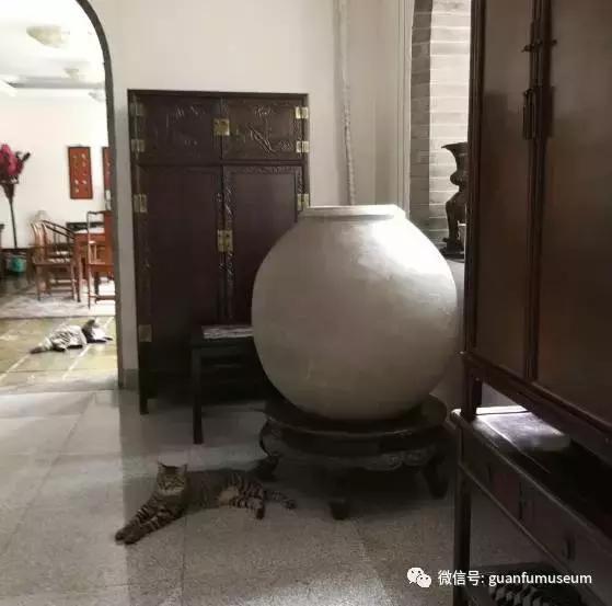 马未都：瓮与缸