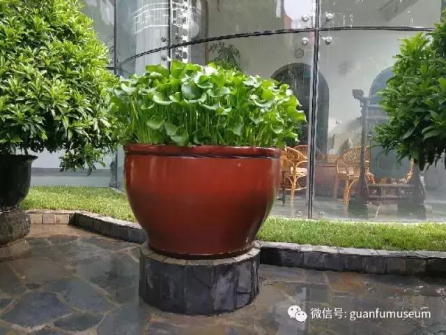 马未都：瓮与缸