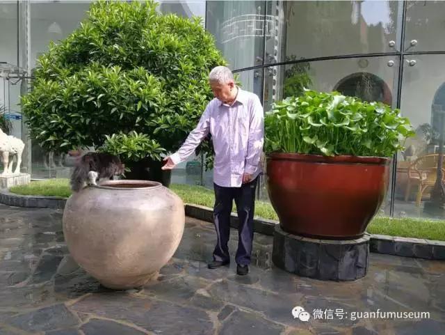 马未都：瓮与缸