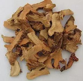 良姜的功效与作用（姜养生之高良姜篇祛寒湿调肠胃）