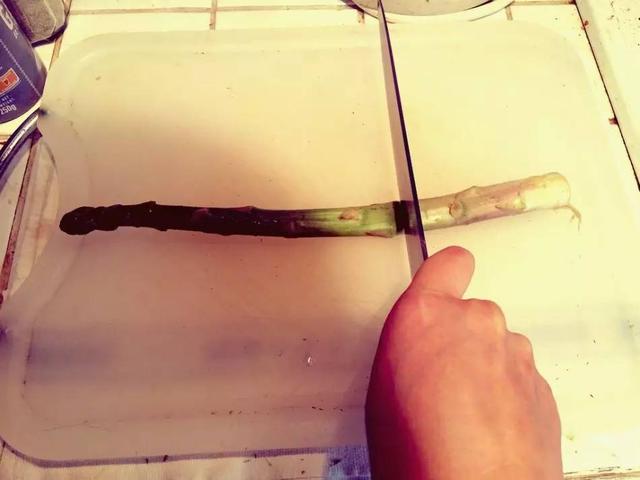 芦笋的正确处理方法