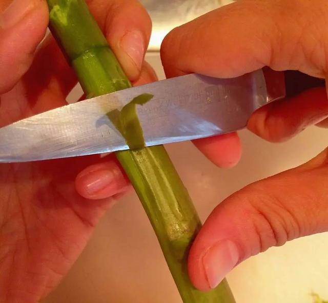 芦笋的正确处理方法