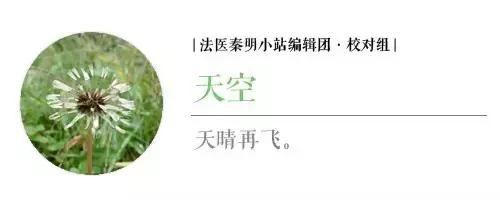 你想笑死我，好继承我的蚂蚁花呗？