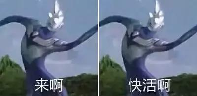外星拳击赛火热开战，奥特曼你放学别走！
