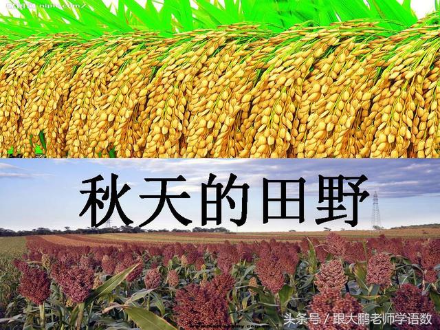 部编版一年级语文上册课文第一课：秋天