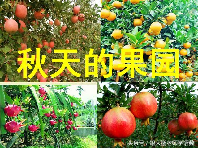 部编版一年级语文上册课文第一课：秋天