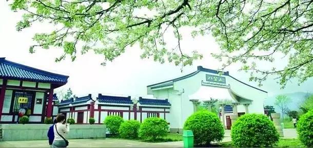 免费游！本周末，淮南将迎来一大波丰富多彩的活动~