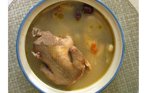 花胶老鸽汤的功效窍门 2025年花胶老鸽汤的功效窍门视频