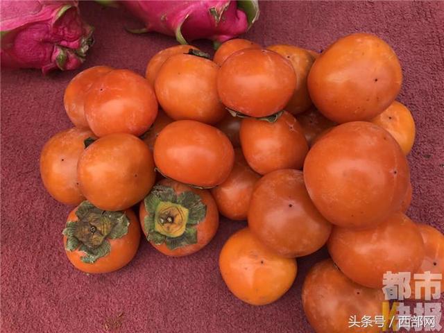 又是秋来到 柿子螃蟹能一起吃吗？真相看这里