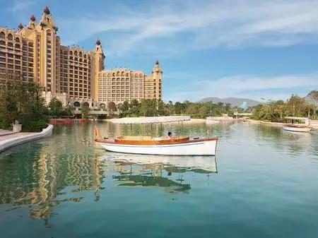 木瓜牛奶炖花胶 牛奶会变渣 2026年木瓜牛奶花胶炖后牛奶凝结了